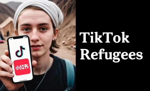 Essential Chinese Internet Slang for TikTok Refugees